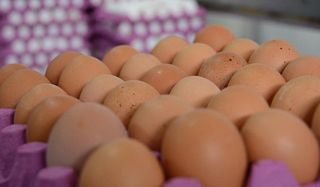 'Türkiye'de zehirli yumurta' iddiasına tepki