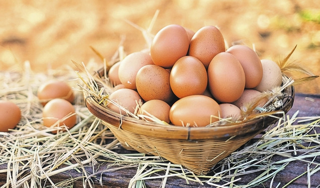 Sungur: Fipronil iddiaları ihracatımızı olumsuz etkilemeyecek
