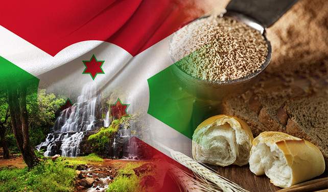 Burundi’de kuru maya üretim tesisi kurulumu teklifi istiyor