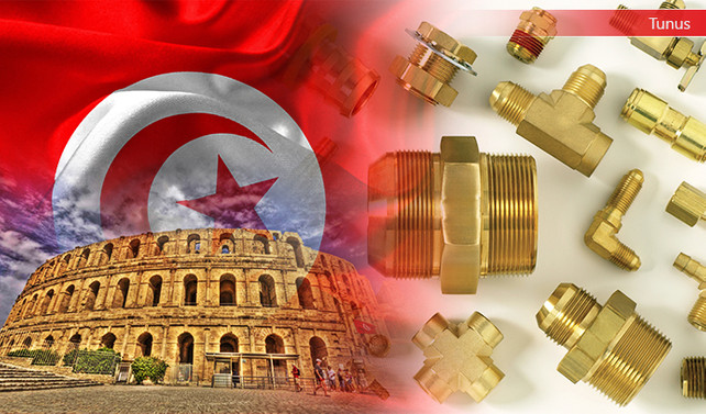 Tunuslu müşteri pirinç aksesuarlar talep ediyor