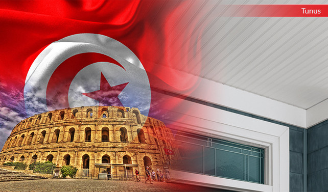 Tunuslu firma vinil yüzey kaplama 17.000 m2 satın alacak