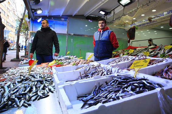 Tezgahlarda balık fiyatları düşmüyor