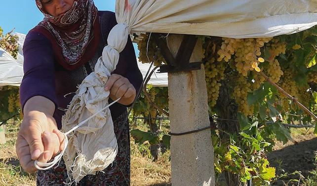 Tarım sigortası kapsamı belli oldu