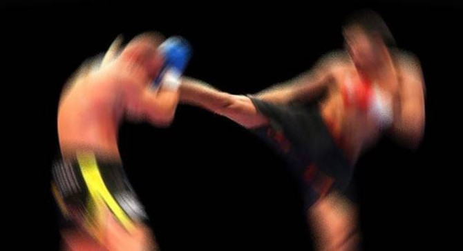 2017'nin madalya şampiyonu kick boks