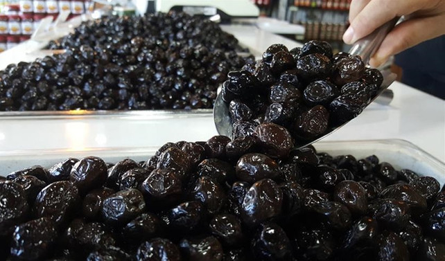 Marmarabirlik zeytin alımında rekor kıracak