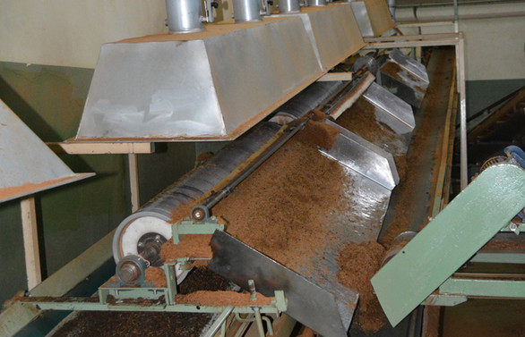 KompoRize, atık çay lifinden plastik üretecek