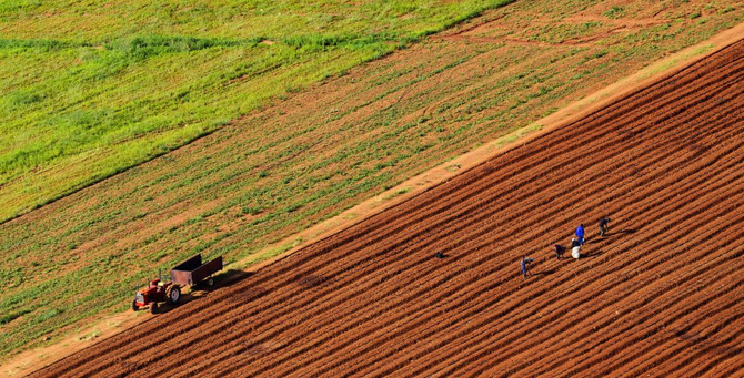 2019 tarımsal destek bütçesi belli oldu