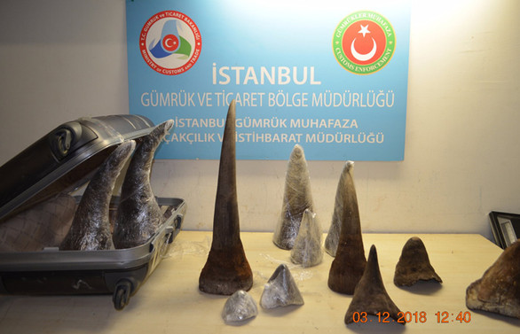 Atatürk Havalimanı'nda gergedan boynuzu operasyonu