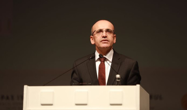 Şimşek: Döviz düzenlemesi hazirana kadar biter