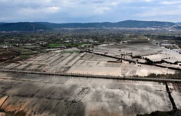 Muğla'da şiddetli yağış tarım arazilerini vurdu