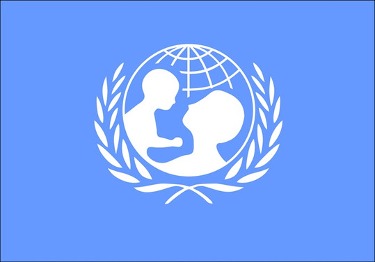 UNICEF Başkan Yardımcısı istifa etti