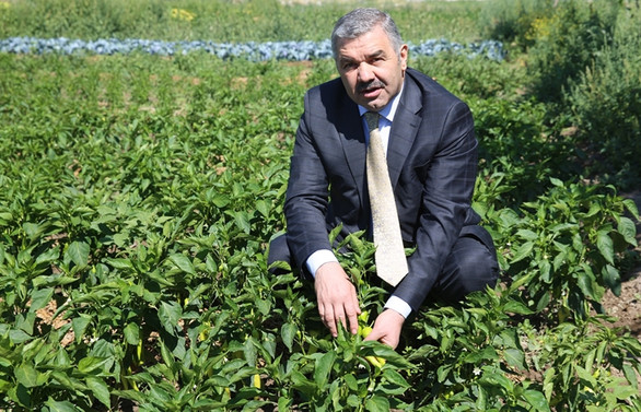 Kayseri, kırsalı organik tarım ve besicilikle kalkındıracak