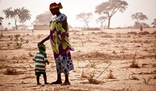 Güney Afrika’da kuraklık nedeniyle ulusal felaket ilan edildi