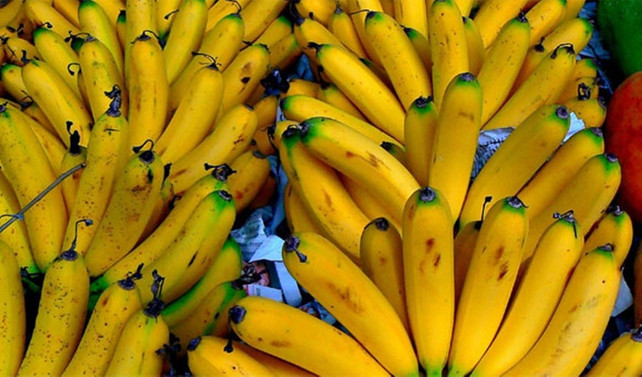 Yüksek fiyat limon üreticisini muza yöneltti