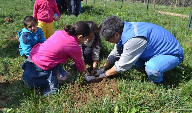 Posco Assan TST gönüllülerinin çevre duyarlılığı