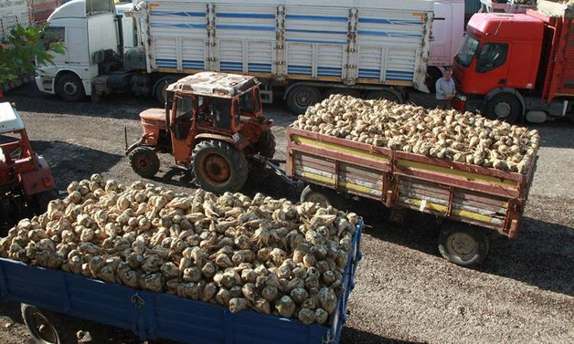 Şeker fabrikaları için 1 milyon 600 bin imza