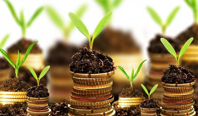Organik tarım desteği başvurularında son gün 30 Mart