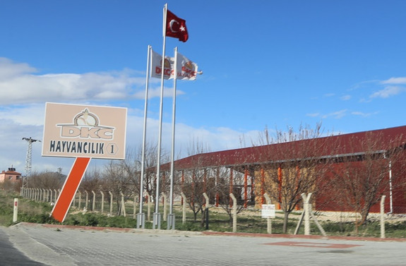 Sütbank, bir ineği 60 kişiye kiralamış