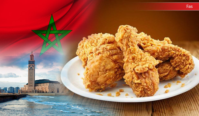 Faslı firma tavuk nugget ithal etmek istiyor