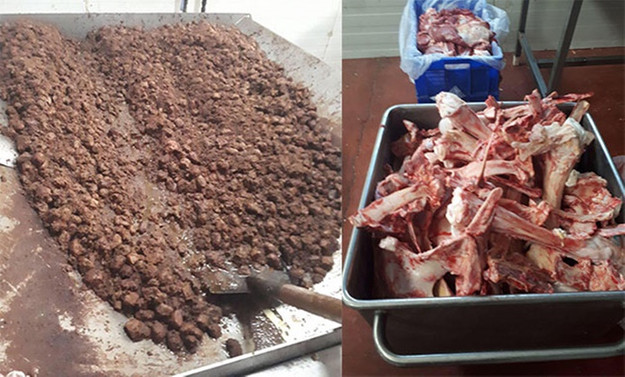 Kocaeli'de 4 ton kaçak et ele geçirildi