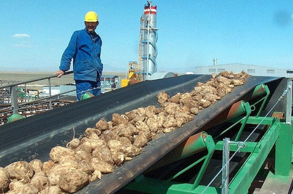 İki şeker fabrikası ihalesi için başvuru süresi uzatıldı