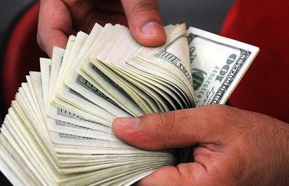 Yerliler 6 haftada 6,2 milyar dolarlık döviz sattı