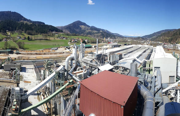 Yıldız Entegre, Slovenya’nın tek yonga fabrikasını satın aldı