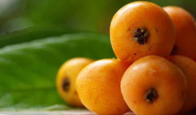 Bir A vitamini ve pektin deposu