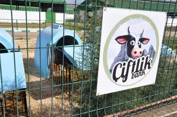 Çiftlik Bank'ın yazılımcısı tutuklandı