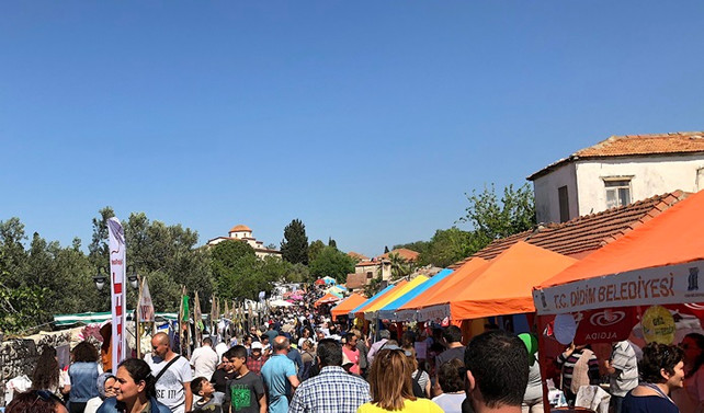 Didim'de cesur bir adım: Vegan Festivali