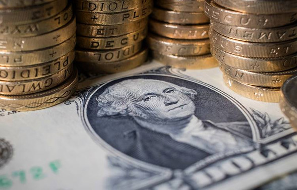 Dolar zirveden döndü