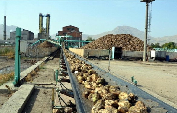 Şeker fabrikaları için ilk iki ihale yapıldı