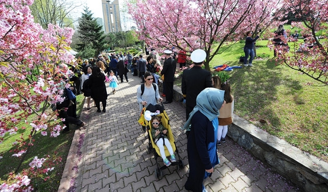 Sakura çiçeklerinin altında anıldılar