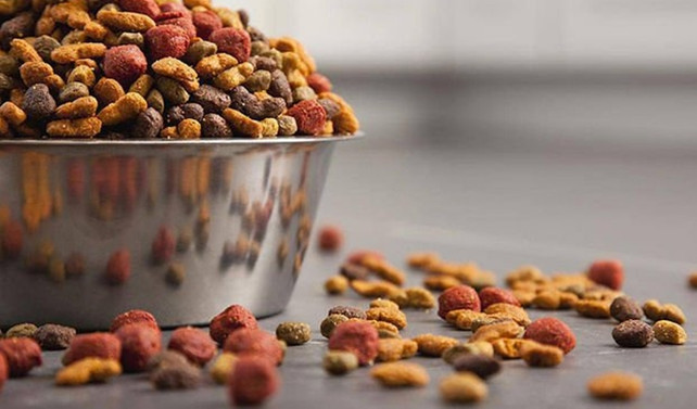 Kedi-köpek mamasında yatırımcının gözü KDV’de
