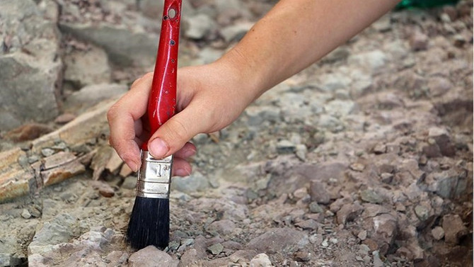 Meksika'da yeni dinozor türü keşfedildi