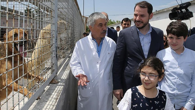 Albayrak: Hayvan haklarıyla ilgili tasarının takipçisi olacağız