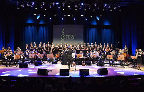 C Majör İş’ten Sesler Korosu'ndan şehit aileleri yararına konser
