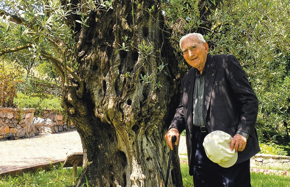 İstanbul'un ortasında bir botanik bahçesi