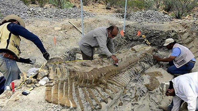 Çin'de 174 milyon yıllık dinozor fosili bulundu