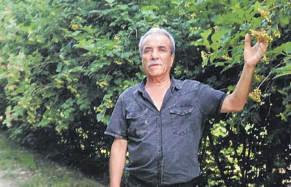 Akkışla’daki gilaburu üreticileri işleme tesisi istiyor