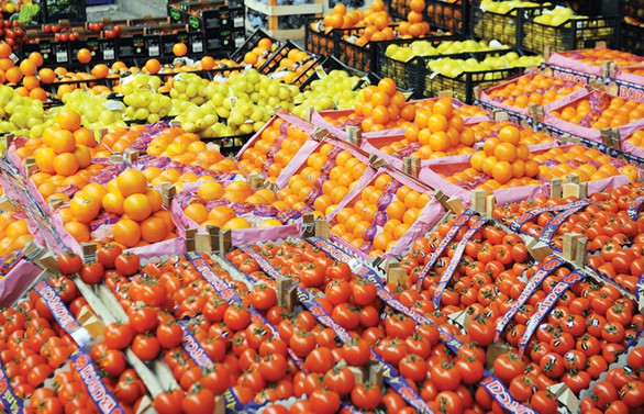 'Tarlada 1 lira, markette 5 lira' problemine BZT ile çözüm önerisi