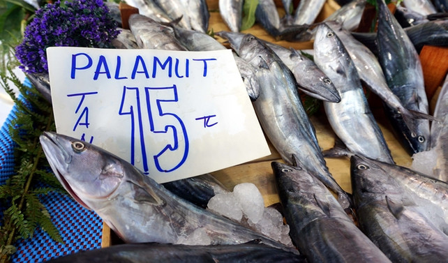 Palamut bolluğu fiyatlara yansıdı