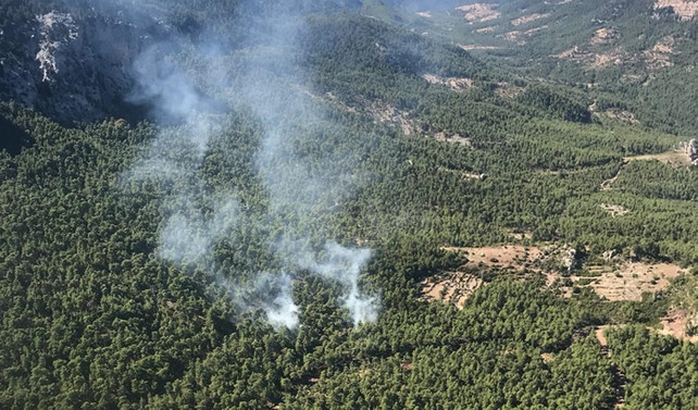 Antalya'da ormanlık alanda yangın