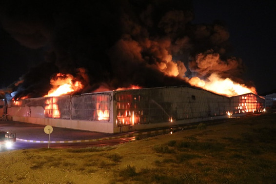 Aydın'da fabrika yangını ile ilgili görsel sonucu