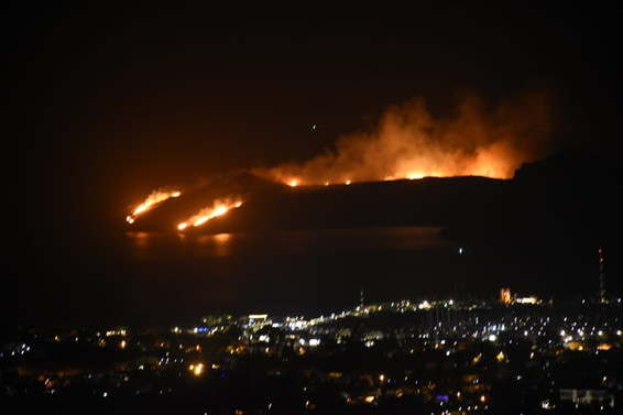 Bodrum'da makilik yangını