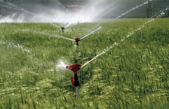 Çiftçiyi elektrik yakıyor! Çiftçiyi elektrik yakıyor!