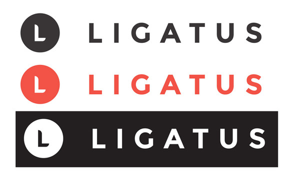 Ligatus, Türkiye’den çekiliyor