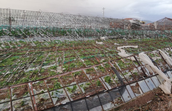 TARSİM, Antalya'da hasar tespit çalışmasına başladı