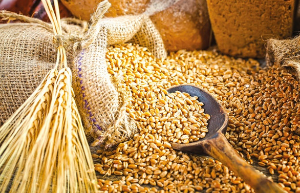 Tohumluk ihracatındaki başarının Ar-Ge ve kaliteli üretimle sürmesi hedefleniyor
