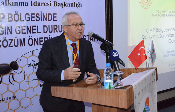 Türkiye bal üretiminde dünya ikincisi, ihracatta ise 21. sırada